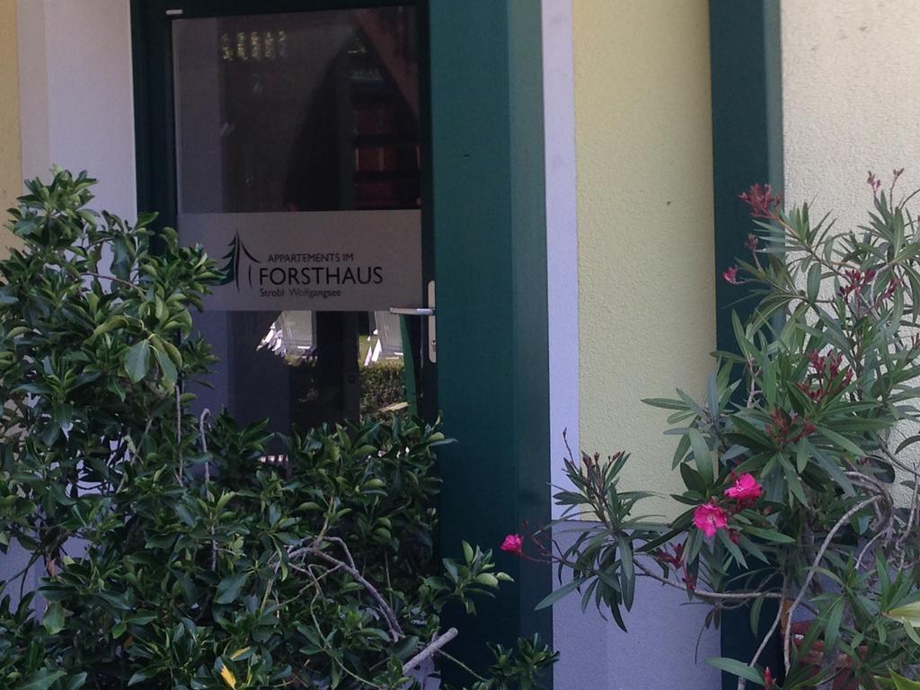 שטרובל Appartements Im Forsthaus מראה חיצוני תמונה